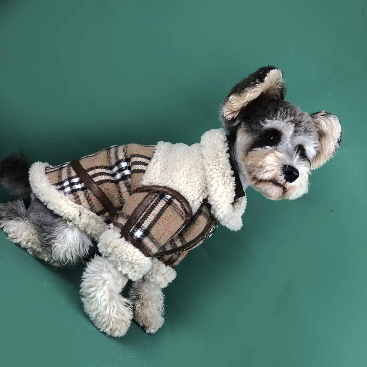 Cozycanine Winterwear: Luxuriously Thickened Dog Clothing For Extra Warmth-3